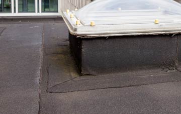 disadvantages of Brunswick flat roofs